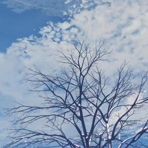 杏色av免费在线观看
